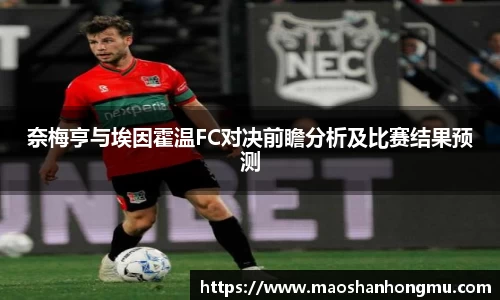 奈梅亨与埃因霍温FC对决前瞻分析及比赛结果预测